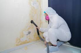 Asbestos and Lead Testing During Mold Inspection in Trucksville, PA